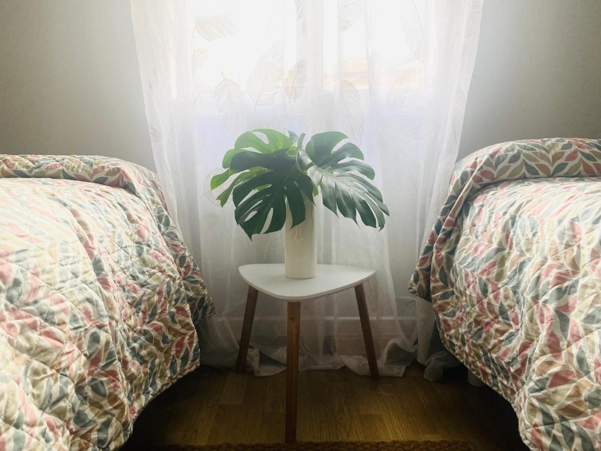 Apartamento A Tixola ,Casco Historico ポンテベドラ エクステリア 写真
